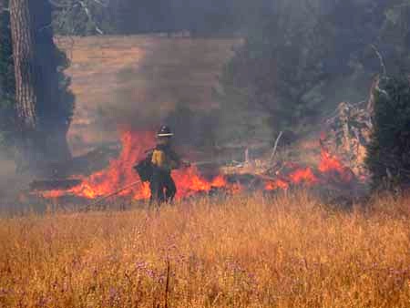 How Much Will the Big Meadow Fire Cost? NPS Says $5mil