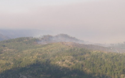 Big Meadow Fire Smoldering?