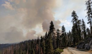 Glacier Point Road - Empire Fire