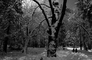 Photo of the Day: Untitled 12×18 by Katherine Elstad