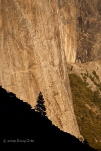 Photo Assignments:Juxtaposition by Doug Otto from BinaryEmulsion.com