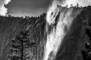 Edie’s Image of the Day: Blown away