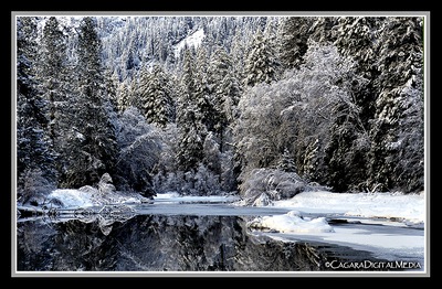 Photo: A snowy Merced River reflects the surrounding trees and mountains in an almost glass-like surface. Photo by Chuck Cagara.