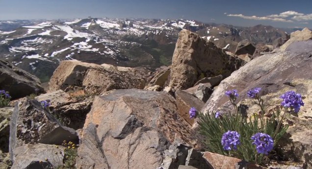 Yosemite Nature Notes Episode 16 Sky Island (video)