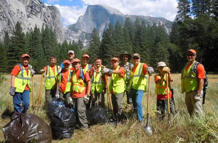 Boy Scouts Help Remove Invasive Plants in Yosemite