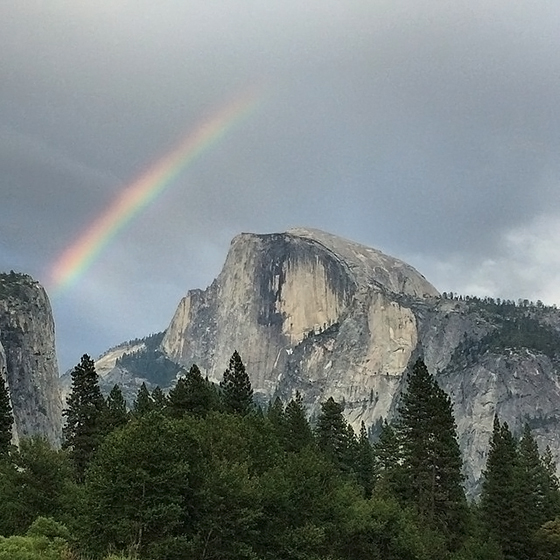 Yosemite is Open but Services are Limited