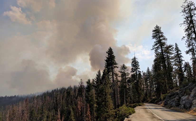 Road and Trail Closures Persist as Fire Operations Continue on the Empire and South Fork Fires