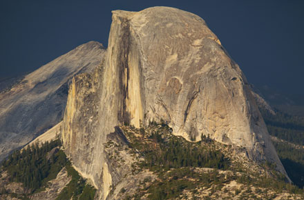Photo of the Day: Half Dome and Spring Blossoms by Tony Immoos