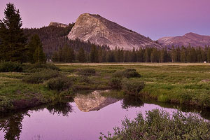 Photo of the Day: Lembert Reflection by Robin Black
