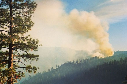 Highway 140 Closed and More Dog Rock Fire Information