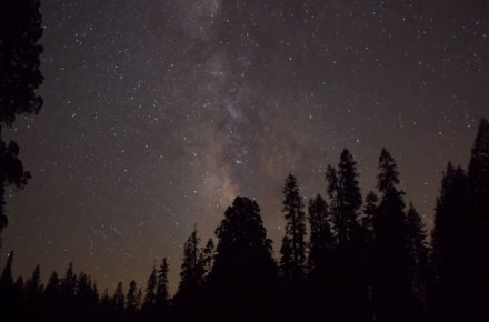 Night Skies: Another great Yosemite Nature Notes