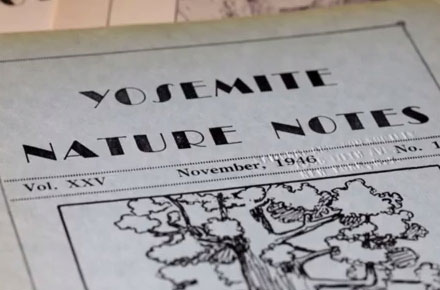 Yosemite Nature Notes 22 – Yosemite Nature Notes